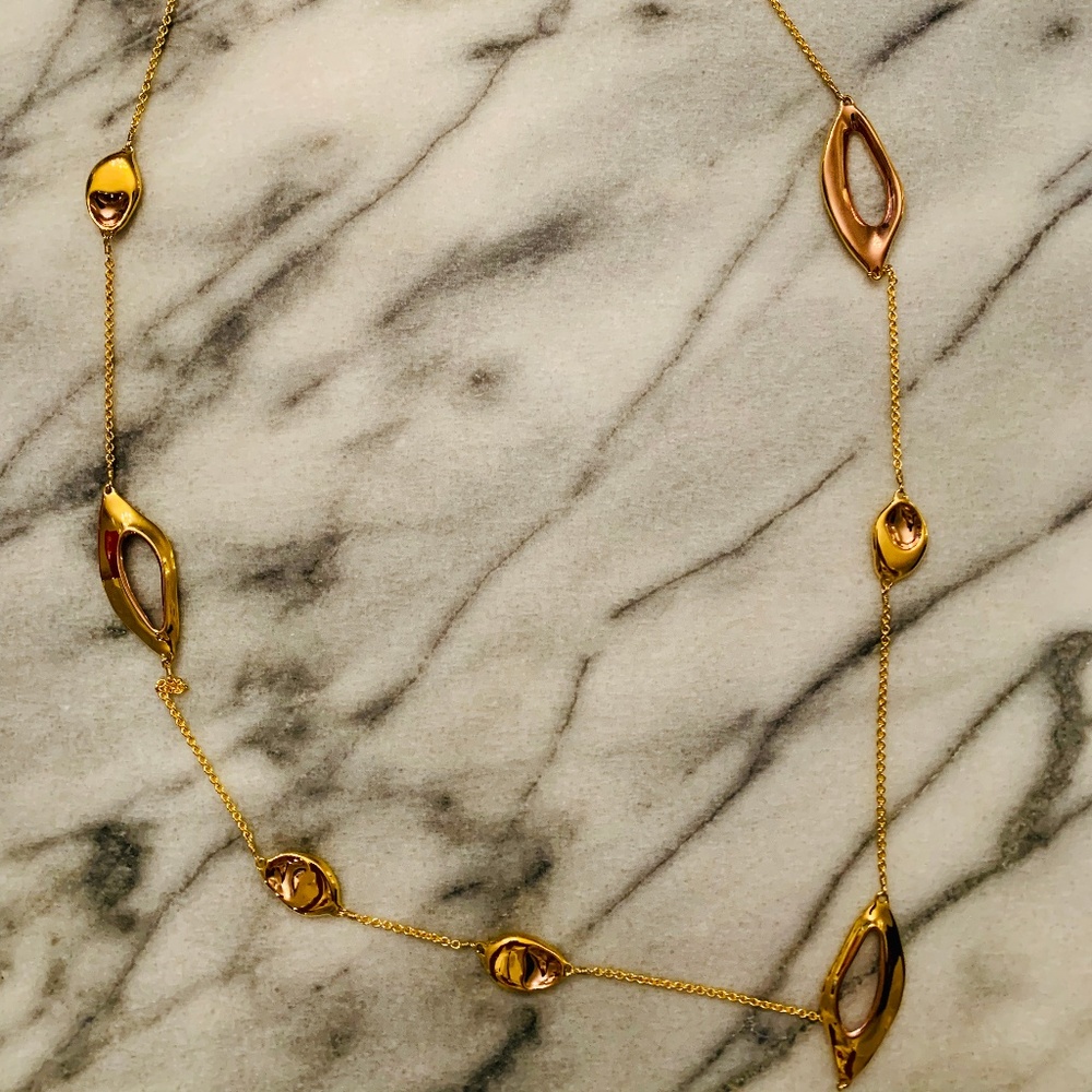 Alexis bittar long strand necklace